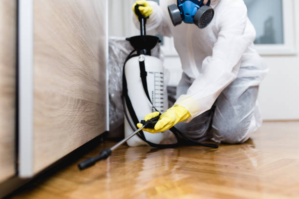 Best Flea Control Services  in Lake In The Hls, IL