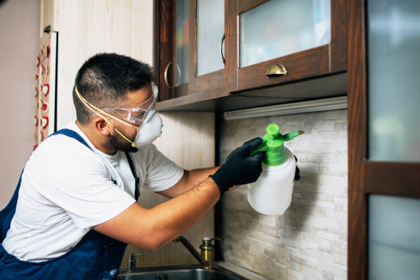 Best Wildlife Control Services  in Lake In The Hls, IL