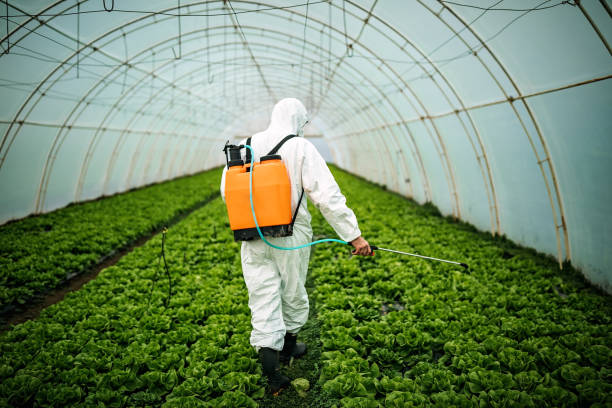 Best Ant Control Services  in Lake In The Hls, IL