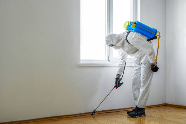 Professional Pest Control in Lake In The Hills, IL