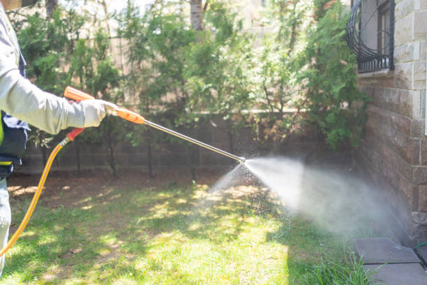 Best Wasp Removal Services  in Lake In The Hls, IL