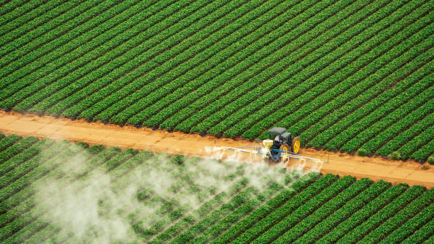 Best Best Pest Control Companies  in Lake In The Hls, IL